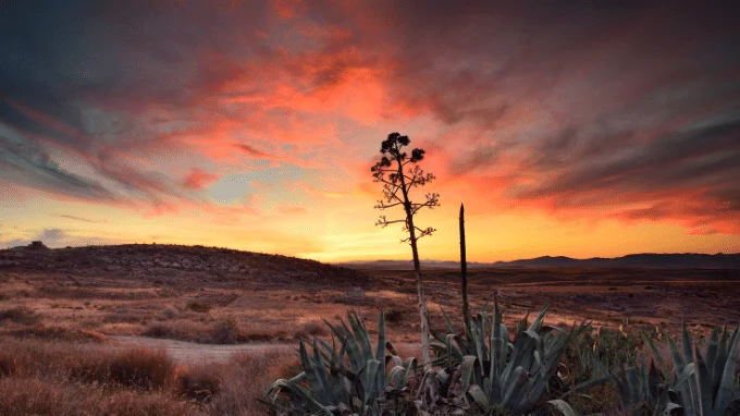 Meaningful Sympathy Messages